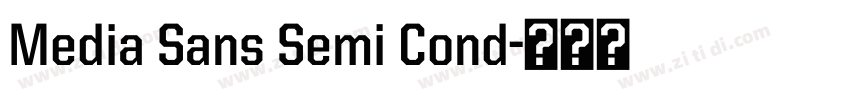 Media Sans Semi Cond字体转换